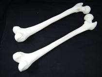 With a human skull in the garden?