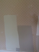 Driving myself crazy with kitchen unit colour, pls help me choose!