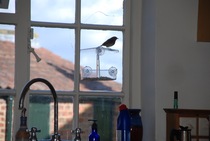 Had a lovely 30 minutes watching the birds in the front garden