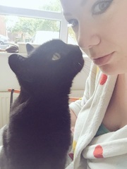 Ollie update