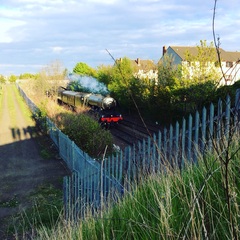 Flying Scotsman visit cancelled