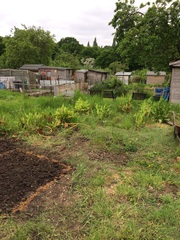 We are the Viroid Warriors! We are practising our PMAs and stockpiling the rare FRERs, come join us for the continued BFP boom...it's only bloody JS 60!!!