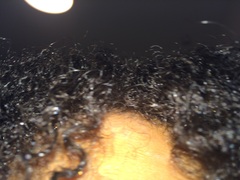 Afro hair, should be curly ???