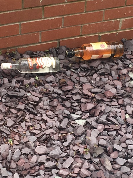 My garden looks like Bargain Booze