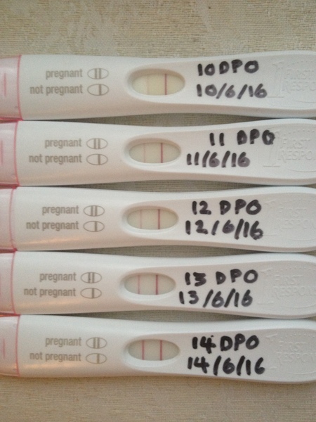 Due in February 2017