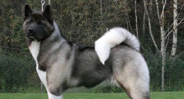 The frugaleers jovially jostle their way into June July and joyfulness