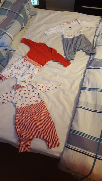 Thread #7 - TTC#1 Grads - Third Trimester Special