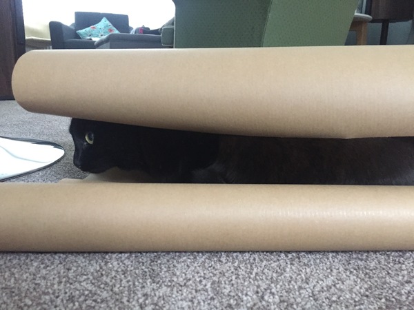 This isn't what I ordered!