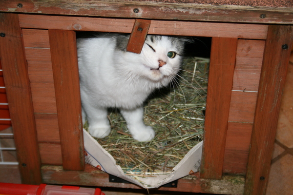 This isn't what I ordered!