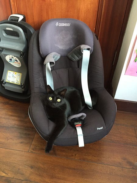 This isn't what I ordered!