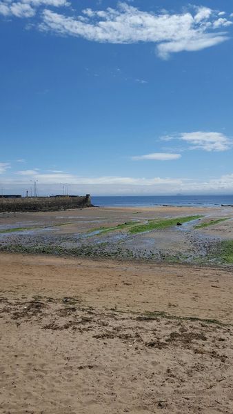 Brave Babes Battle Bus