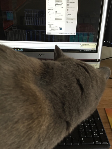 Working from home