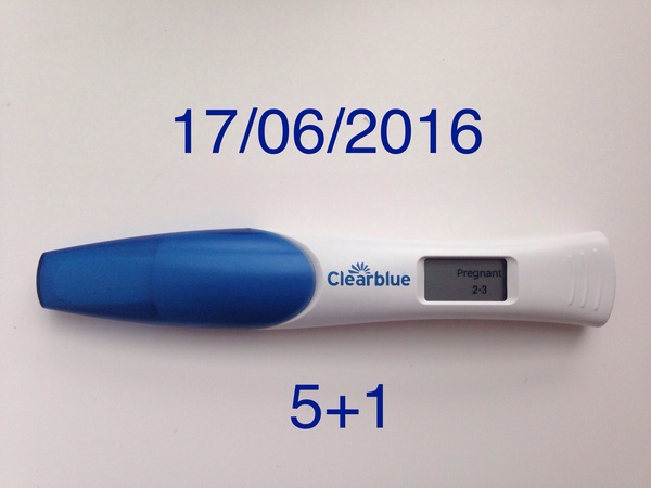 Due in February 2017...thread #2!