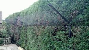 AIBU - Neighbour wars over our cats