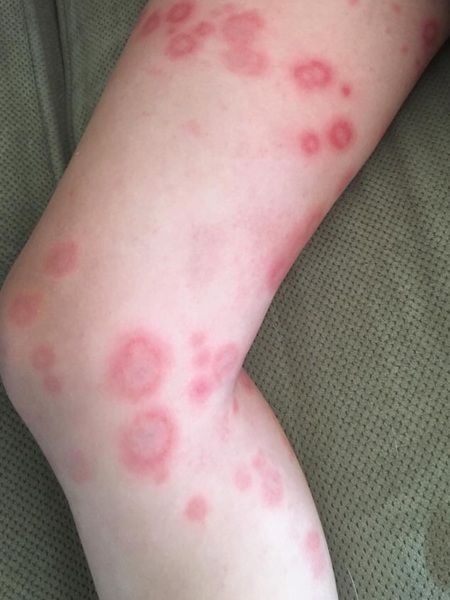 Anyone know what this is?