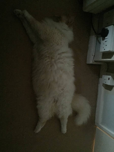 The frugaleers jovially jostle their way into June July and joyfulness