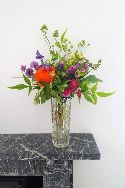 "in the midst of winter, I found there was within me, an invincible summer" Potting shed chat continues here