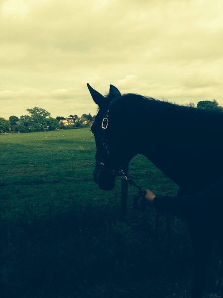 Brave Babes Battle Bus