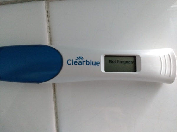 The 11th Gemini bus - Trudging through the terrible twos