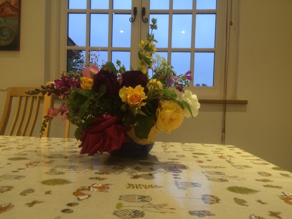 Advice on cut flower garden