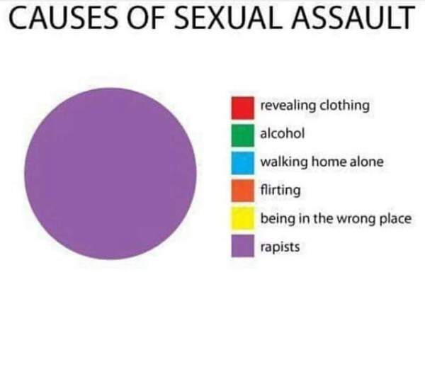 "Rape...is not caused by rapists" WTF!?!