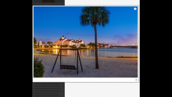 Accident of sorts at Disney in Florida, may be upsetting