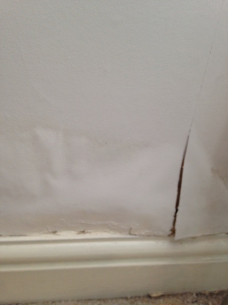 Damp Issues