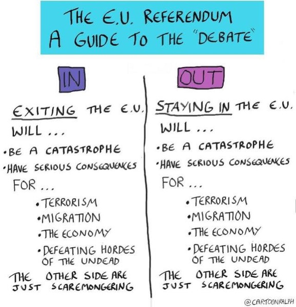 Why are all the twats voting leave?