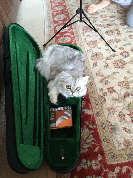 This isn't what I ordered!
