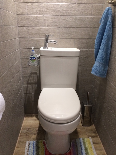 Would you mind showing me a picture of your downstairs toilet, please?
