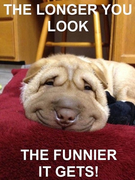 to think if this doesn't make you smile you might want check your pulse?