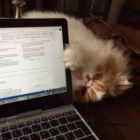 Working from home