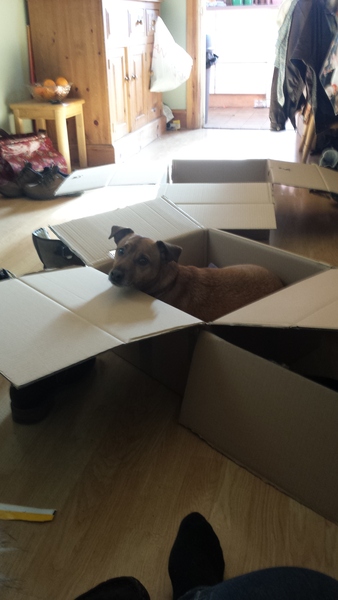 This isn't what I ordered!