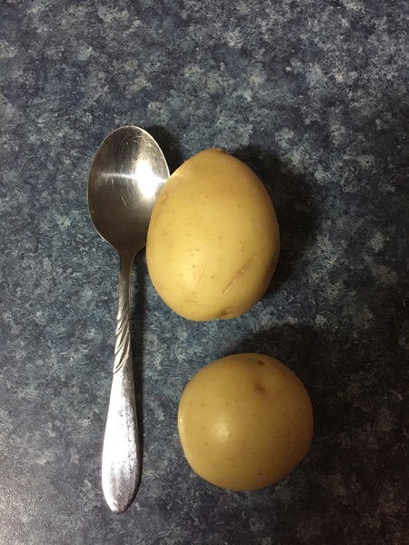please critique our dinner