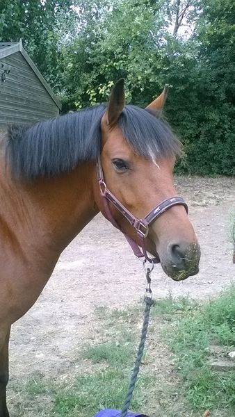 So disheartened with youngster and progress. Really don't know what to do.