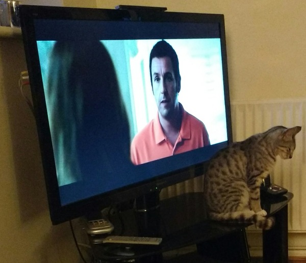 This isn't what I ordered!