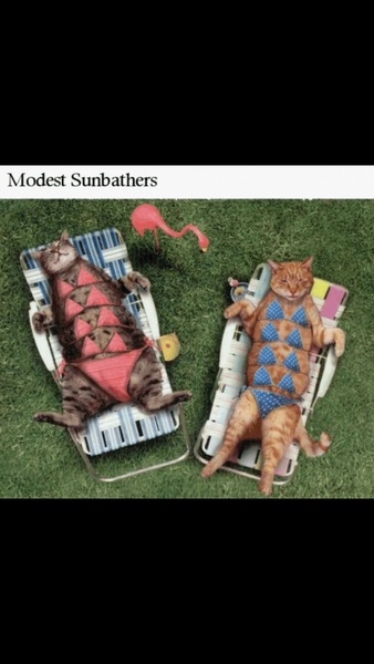 Zombie Continues Her Shuffle Into Spring