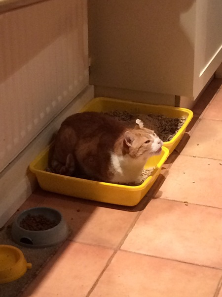 This isn't what I ordered!