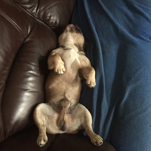 Photo thread anyone?