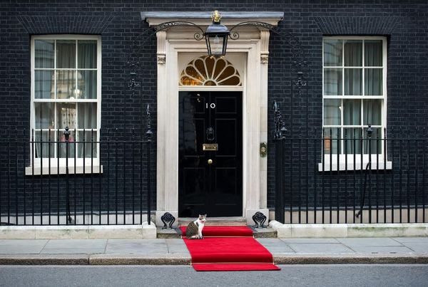 to think Larry the Downing Street Cat should be the next Prime Minister?