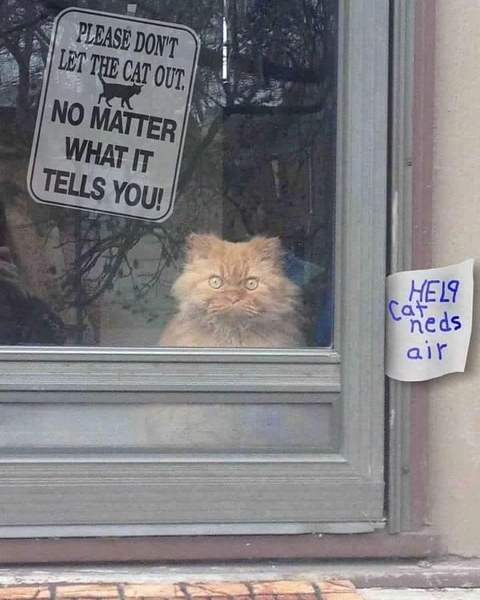 test please ignore
