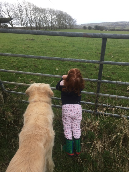 The frugaleers jovially jostle their way into June July and joyfulness