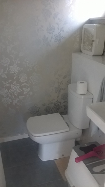 Would you mind showing me a picture of your downstairs toilet, please?