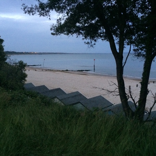 Brave Babes Battle Bus