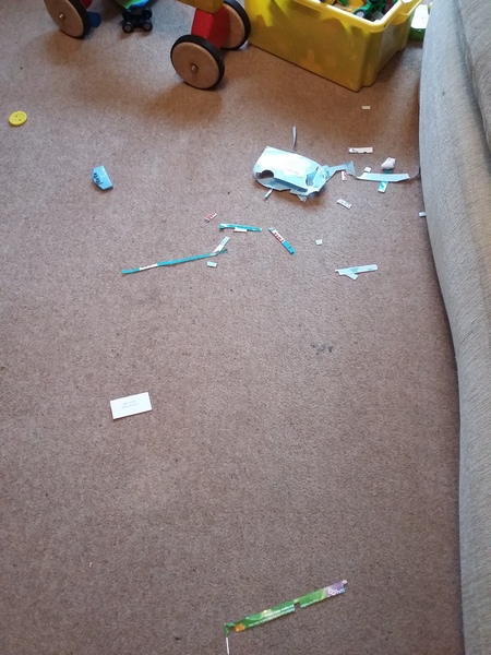 To think it is not childish to not pick up this mess