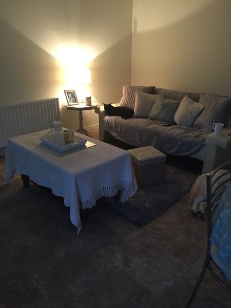 How can I (cheaply) make this large, bland space more cosy?