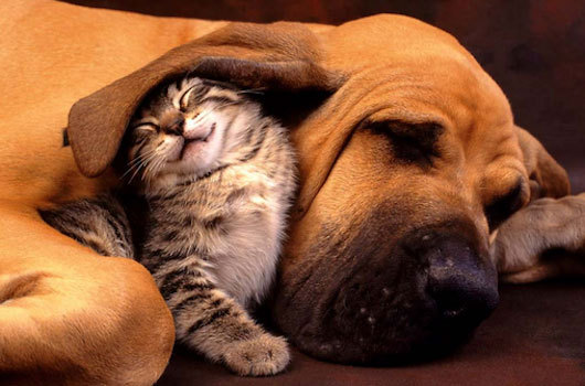 to think if this doesn't make you smile you might want check your pulse?