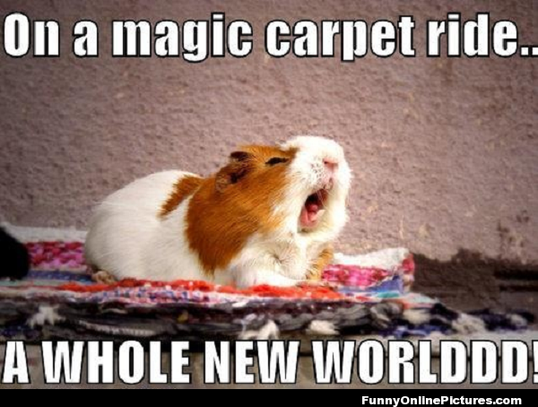 Tell me everything you know about Guinea pigs.