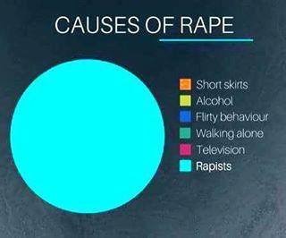 "Rape...is not caused by rapists" WTF!?!
