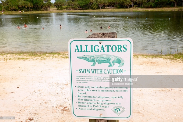 Accident of sorts at Disney in Florida, may be upsetting